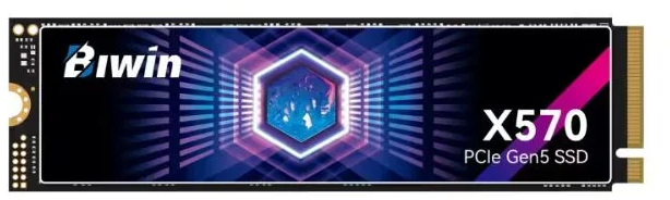 Biwin 512 GB (NV3500 (clone))