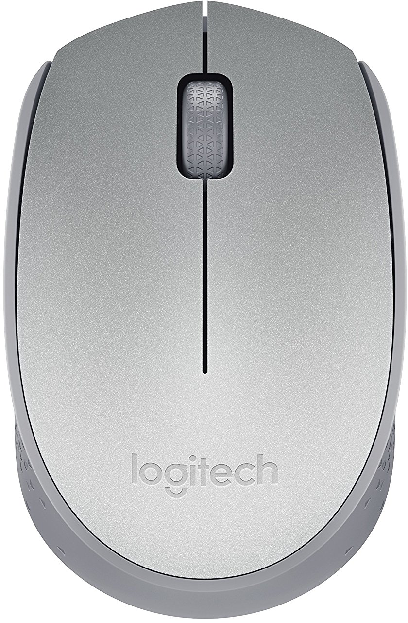 Logitech M170 - Plata (910-005334)