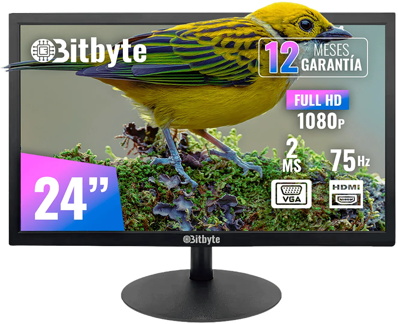 Bitbyte M24